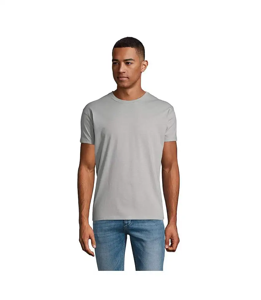 SOLS Mens Regent Short Sleeve T-Shirt (Pure Grey) - UTPC288