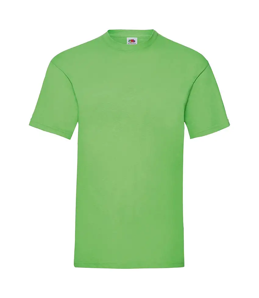 Fruit Of The Loom Mens Valueweight Short Sleeve T-Shirt (Lime) - UTBC330