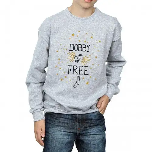Harry Potter Boys Dobby Is Free Sweatshirt