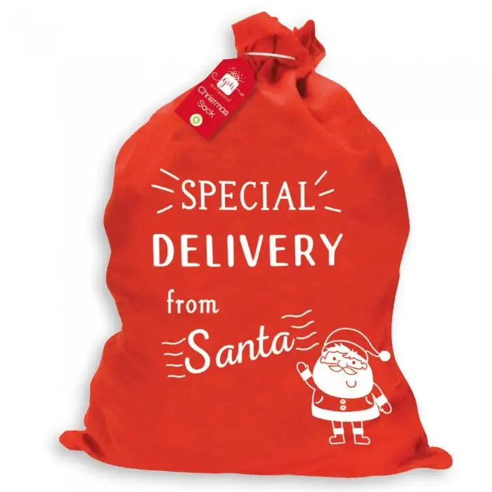 Giftmaker Special Delivery Christmas Santa Sack