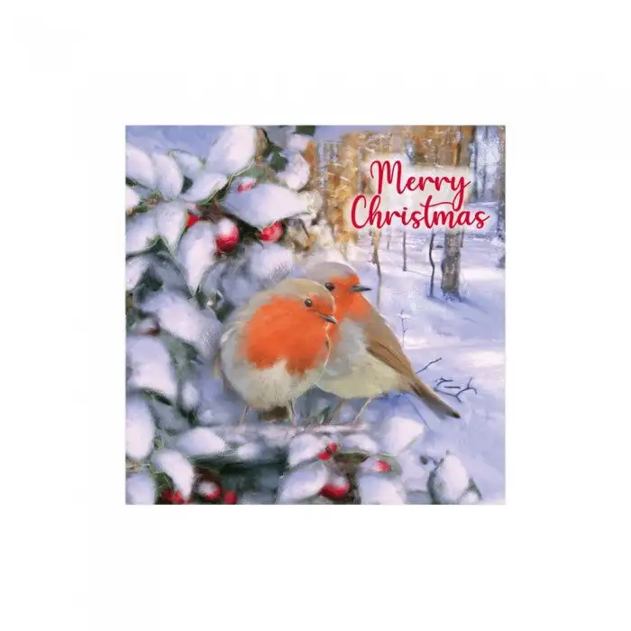 Eurowrap Robin Christmas Card (Pack of 24)